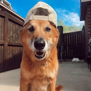 Meet your Posher, Ruby